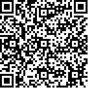 战略与战术中文