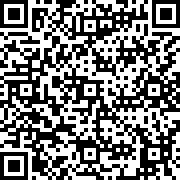栗子优化助手