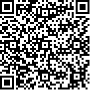 小马国炬企业版
