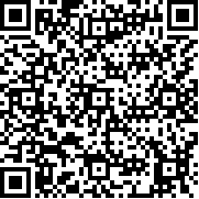 谷歌商店(Google Play Store)