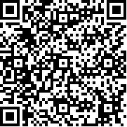 谷歌pixel原生桌面