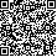 辅助音量按钮