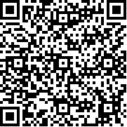 X8安卓沙箱