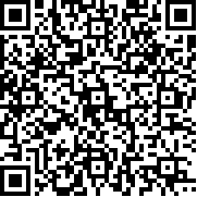 皮皮vr