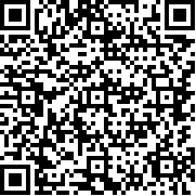 灵缇运维(Lingti DevOps)