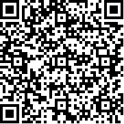 阳光金诗欢乐猪