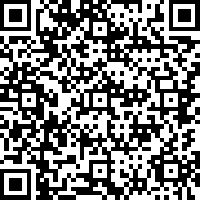 计算机一级WPS