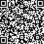松鼠数字桥