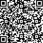 暴走賽車(SCR 2 Online)