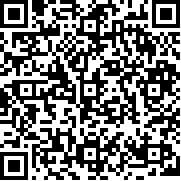 点点锻造盾牌进化(터치스미스)