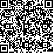 终极侠客