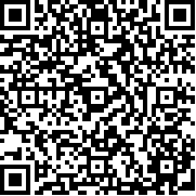 彩色线条的谜题(Line Puzzledom)