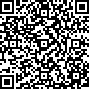 不可能的停车模拟器