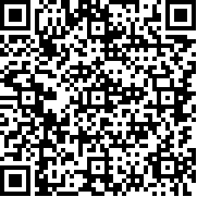 钢铁力量2