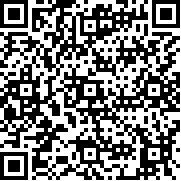 磁铁立方体(Magnet Cubes)