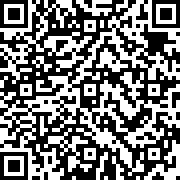 全面战争模拟器手机版