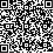 斯拉夫帮派汉化版