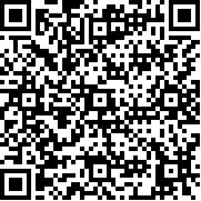 玩具车特技赛