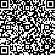 火柴人Z戰(zhàn)斗