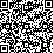 X队(XTeam)