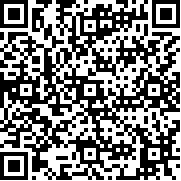 滑索放置3D(Zipline Idle 3D)