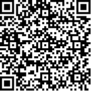 龍珠格斗傳奇戰(zhàn)斗