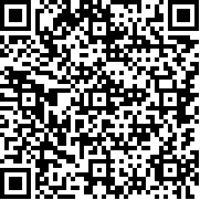 电脑游戏公司