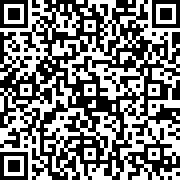 火柴人Z形戰(zhàn)斗