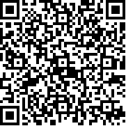 口袋战斗模拟器