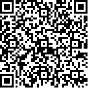 弹球任务战斗无人机(PinBallQuest)