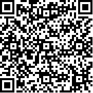 Z字型戰(zhàn)斗(Stick Z Battle)