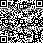放置航空公司(Idle Airline Inc)
