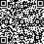 智能手机公司模拟器