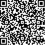 间谍之王(Spy King - Bullet Puzzle)