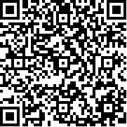 模拟游戏开发者2