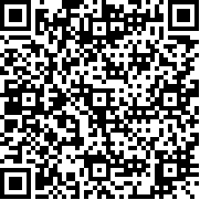 gta4steam正版最新汉化补丁