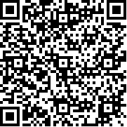 特斯拉战队汉化补丁