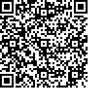 艾尔登法环火焰环巨剑MOD