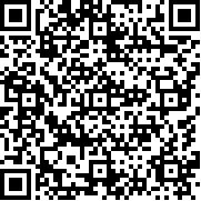 街头冲突Online(Street Clash Online)