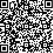 鲍尔的冒险(Balls Adventure)