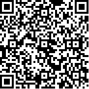 盖瑞模组手机版