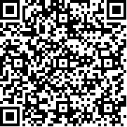 陸軍突擊隊(duì)Beta(Army Men Strike Beta)