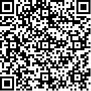 bvn轻空改全火影版