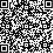 冰汽时代最后的家园先行服(Frostpunk)