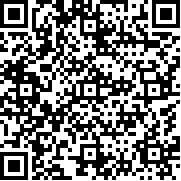 数字特工战(The Agent)