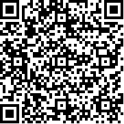 装甲检查员闪击战版(Armor Inspector)