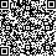 DIY造型师(DIY Stylist)