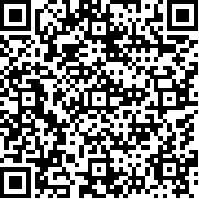 机场安全员(Airport Security)