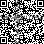 罗布乐思终极驾驶