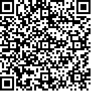 梦之队模拟器